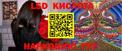 spice Кингисепп