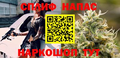 spice Кингисепп