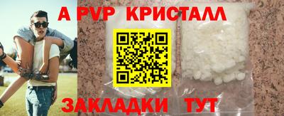 spice Кингисепп