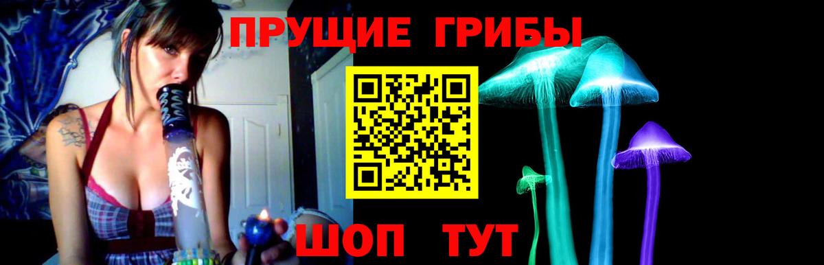 Псилоцибиновые грибы MAGIC MUSHROOMS Котовск